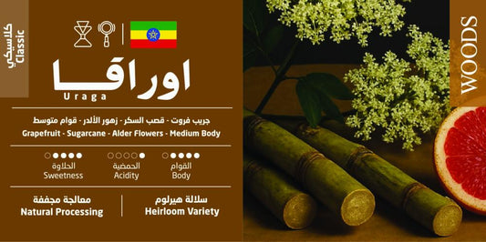 اوراقا وودز